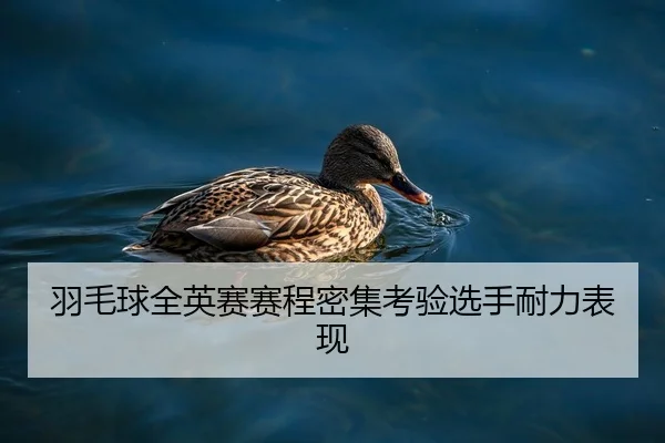yu-mao-qiu-quan-ying-sai-sai-cheng-mi-ji-kao-yan-xuan-shou-nai-li-biao-xian-2-259.jpg